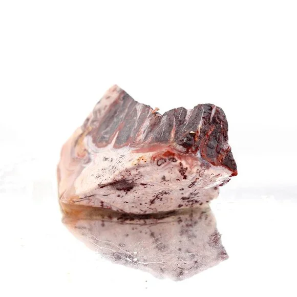 Mexican Crazy Lace Agate, Raw Rough Natural Lapidary Cabochon Material - Picture 2 of 11